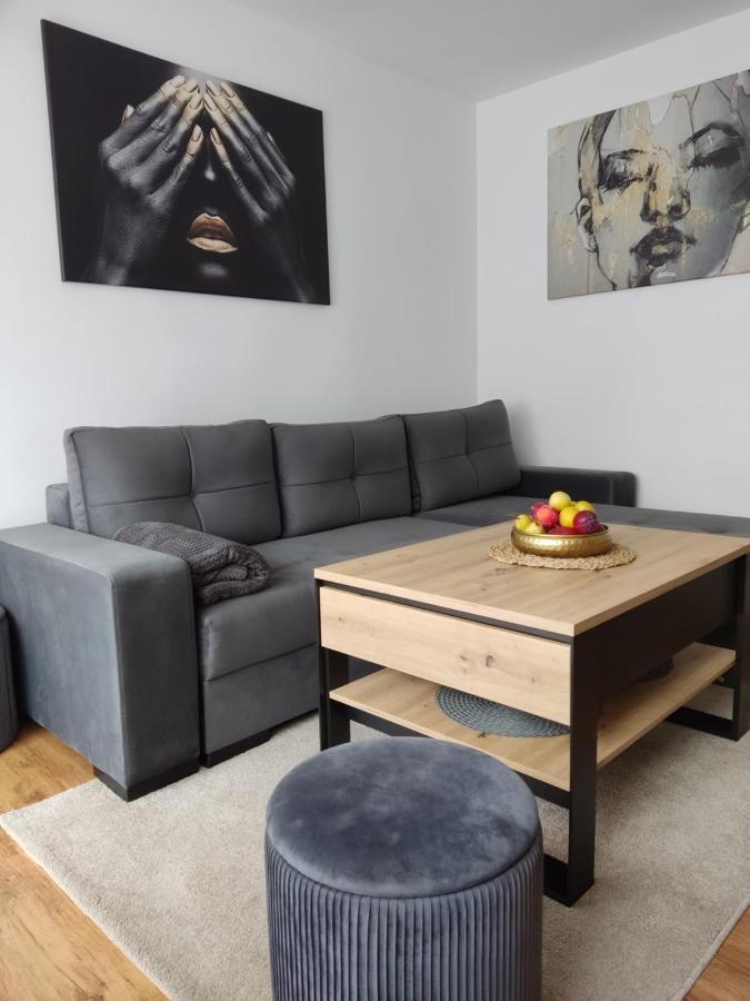 Apartament Janis Apartment Zator Bagian luar foto